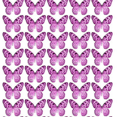 Butterfly cake topper