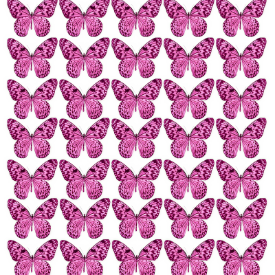 Butterfly cake topper