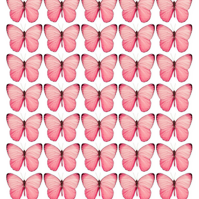 Butterfly cake topper