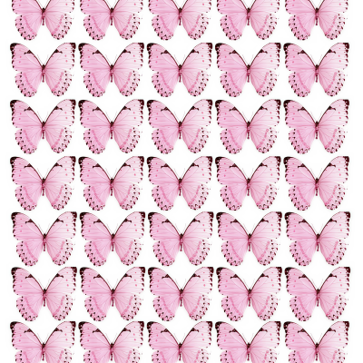 Butterfly cake topper