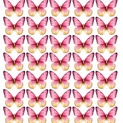 Butterfly cake topper