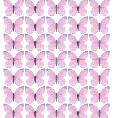 Butterfly cake topper