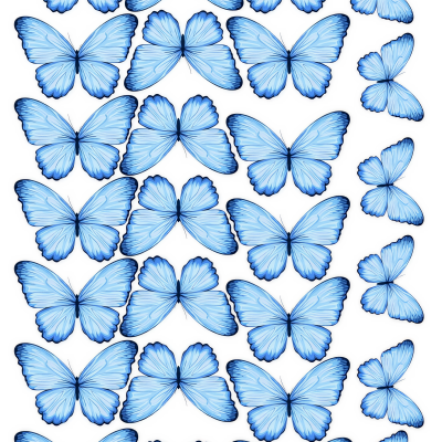 Butterfly cake topper