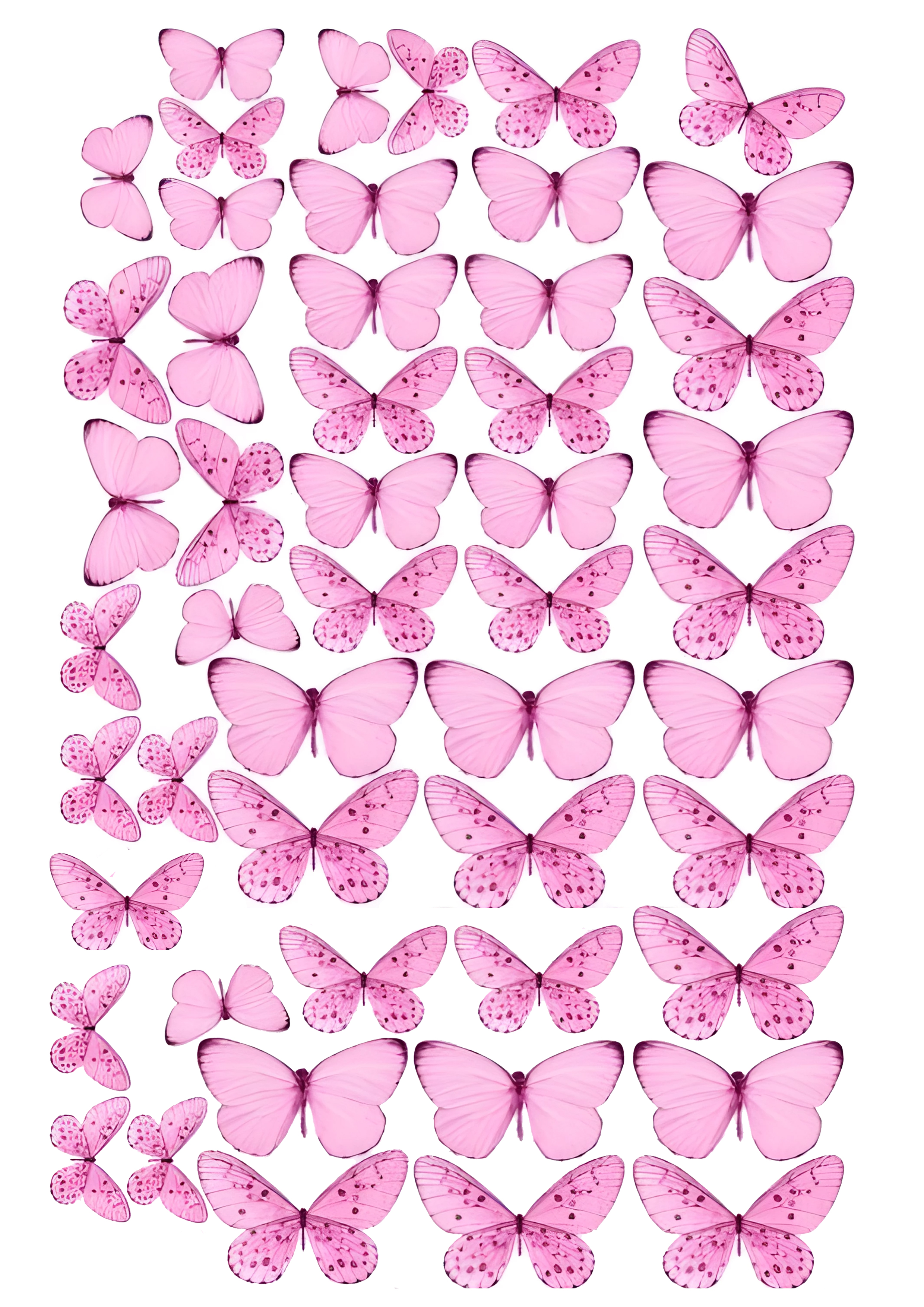 Butterfly cake topper