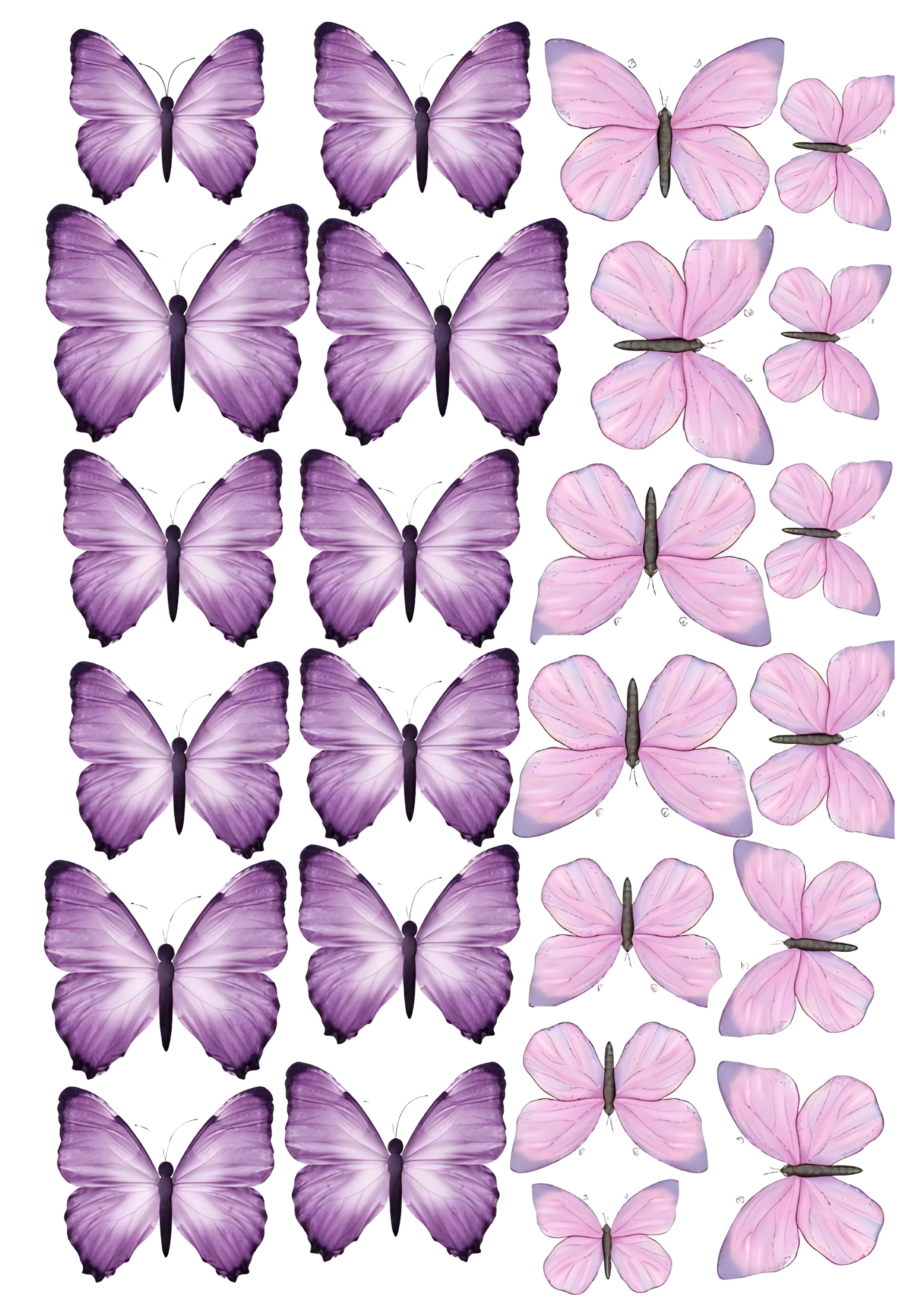 Butterfly cake topper