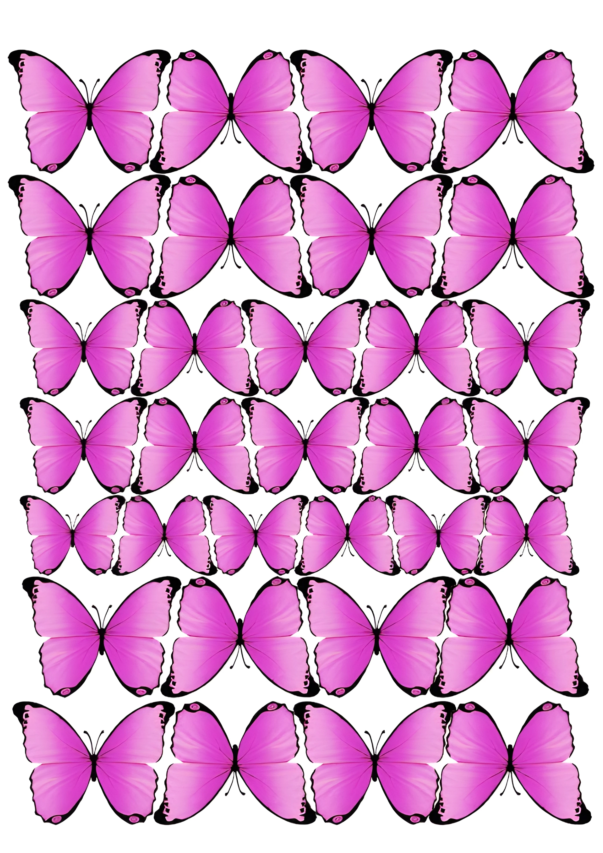 Butterfly cake topper