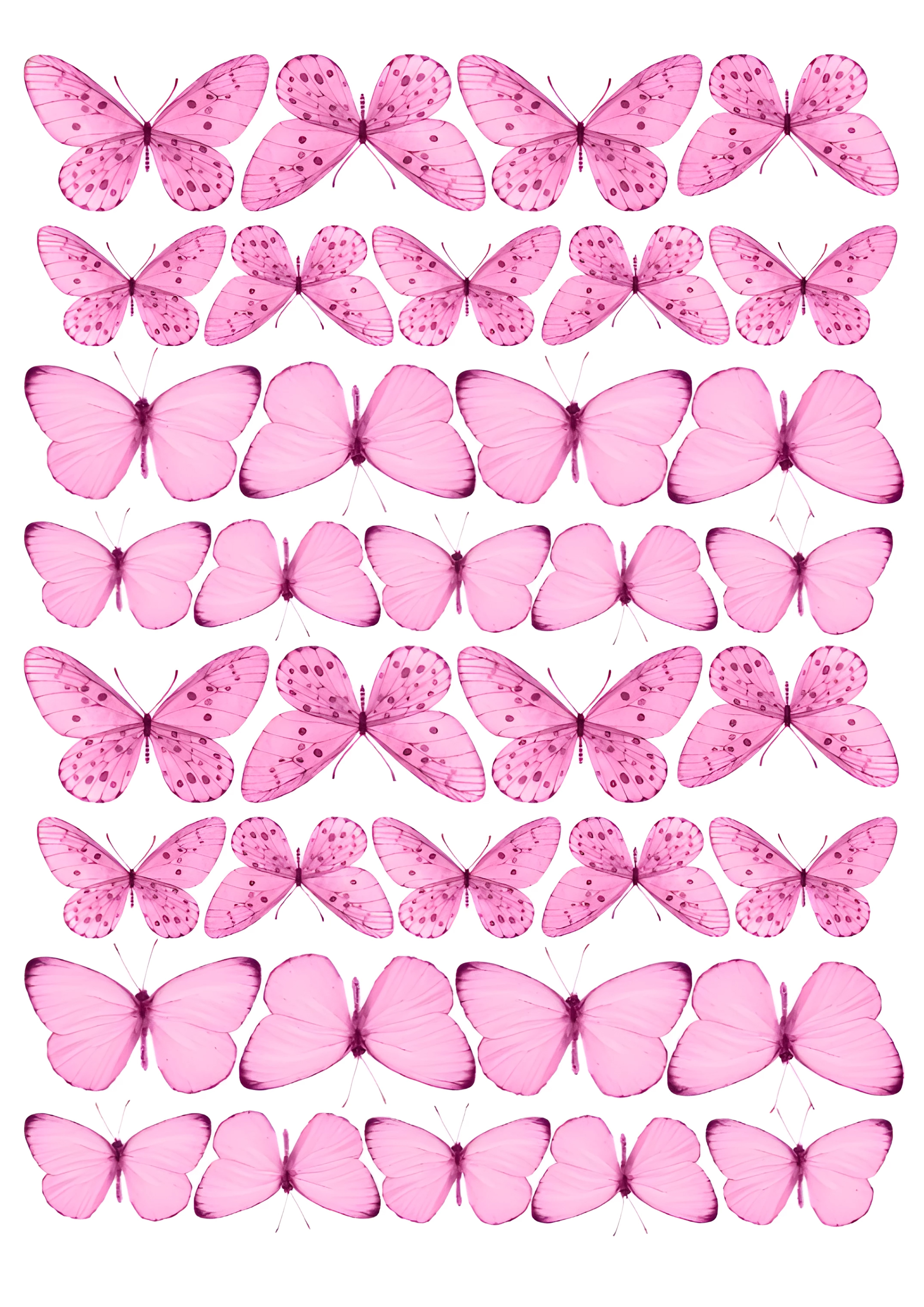 Butterfly cake topper