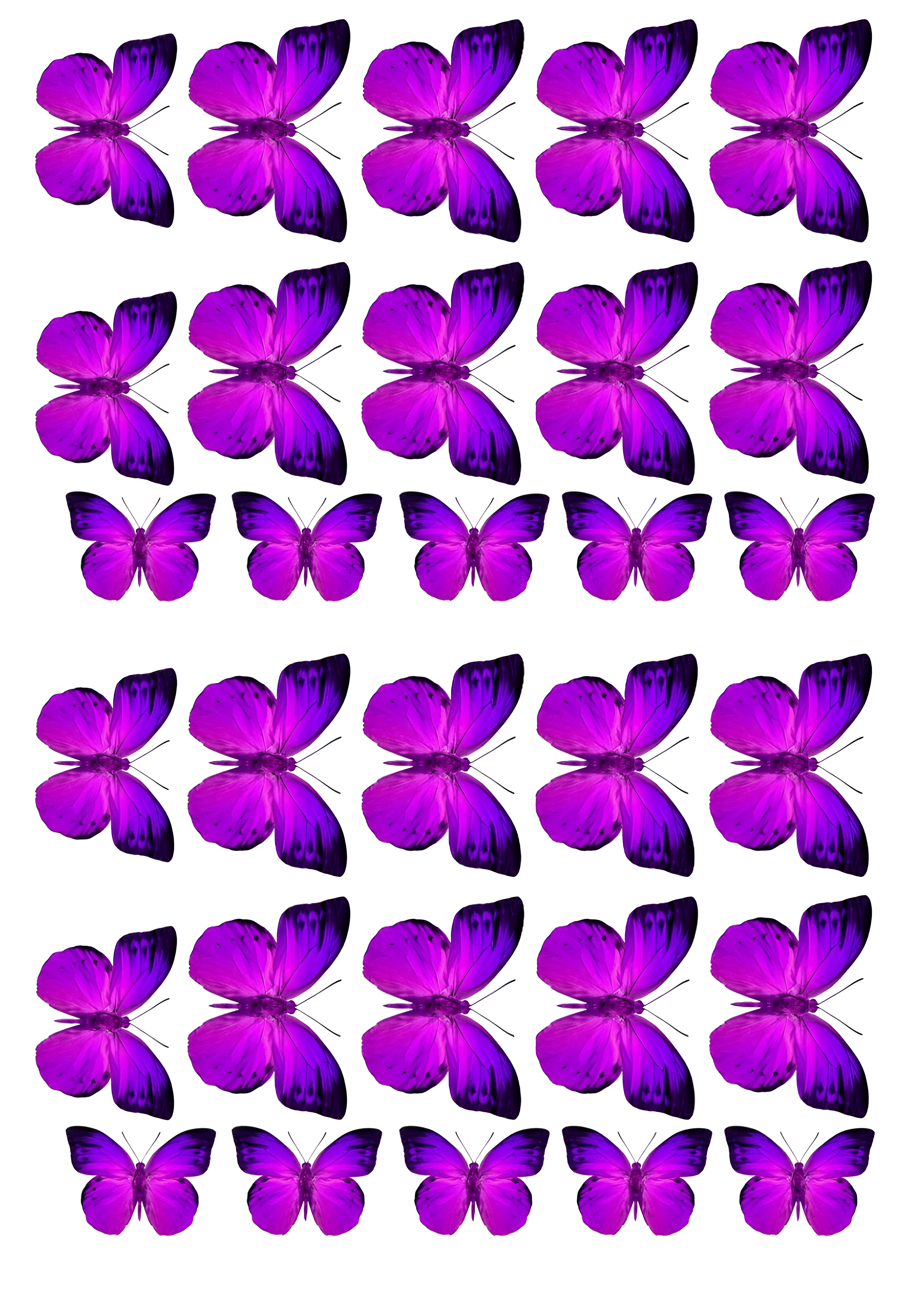 Butterfly cake topper