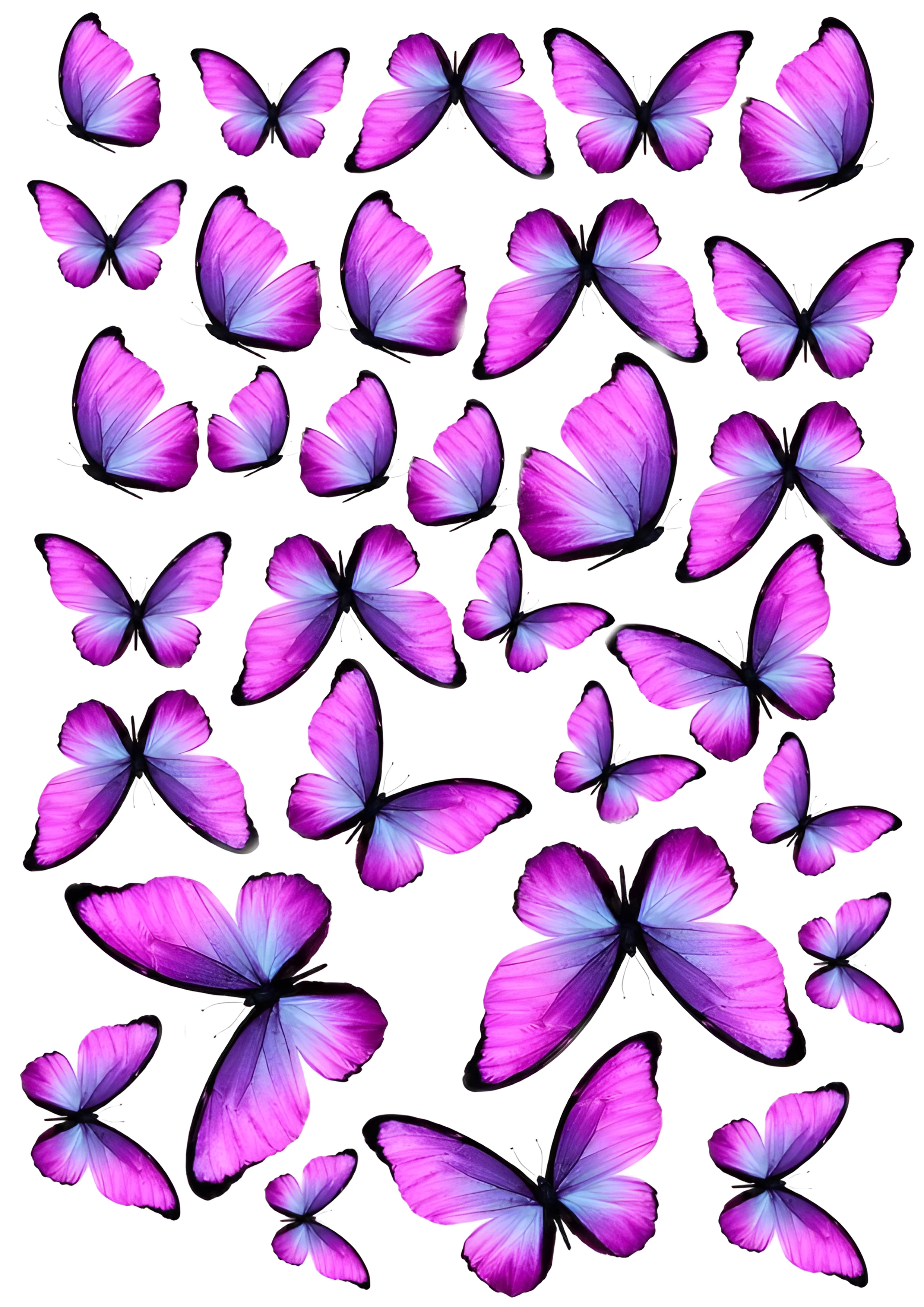 Butterfly cake topper