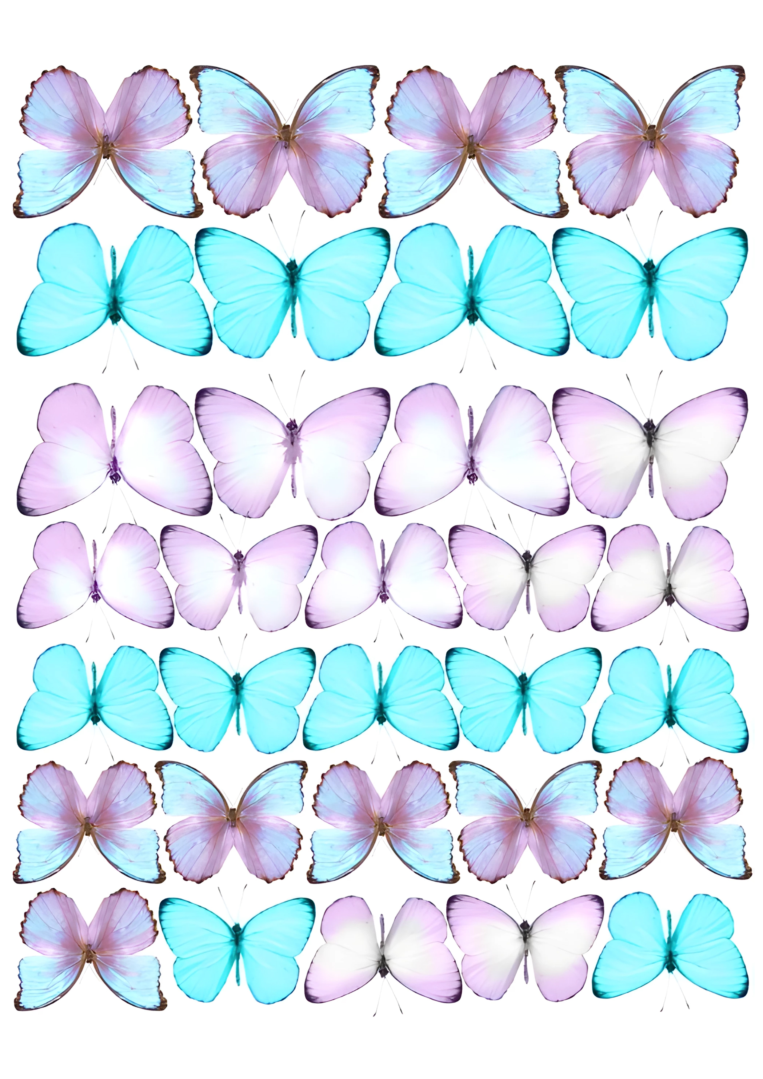 Butterfly cake topper