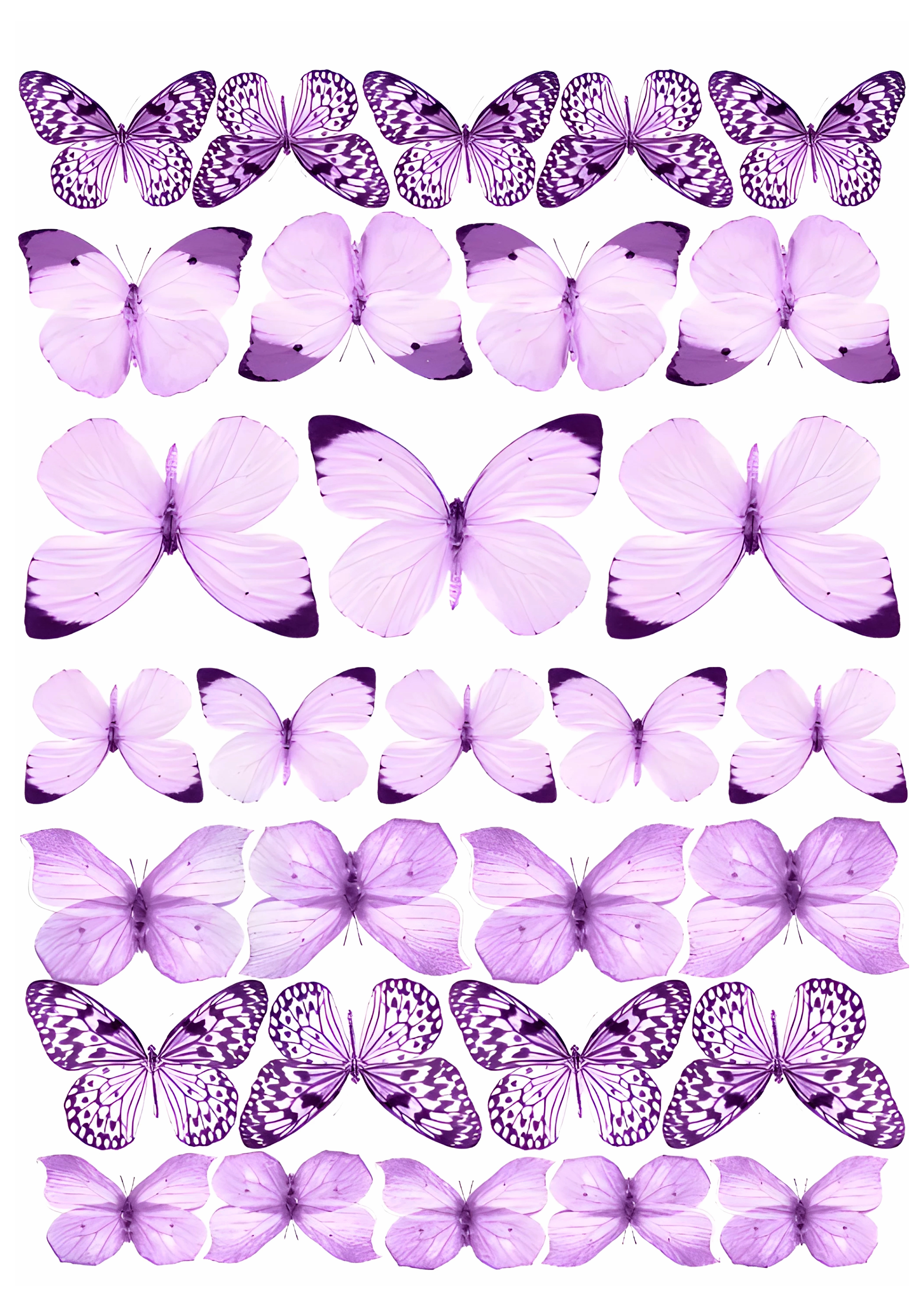 Butterfly cake topper