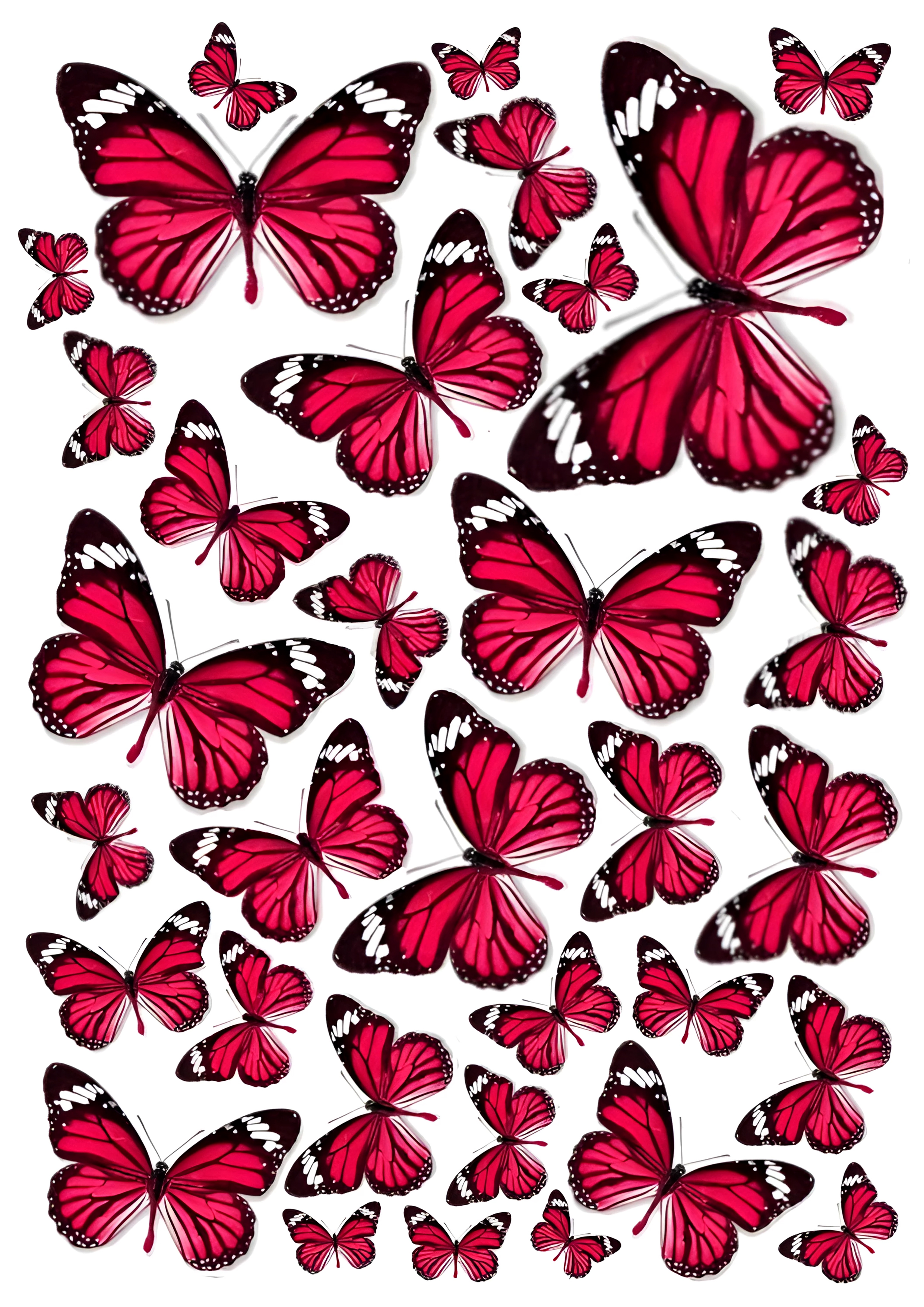 Butterfly cake topper