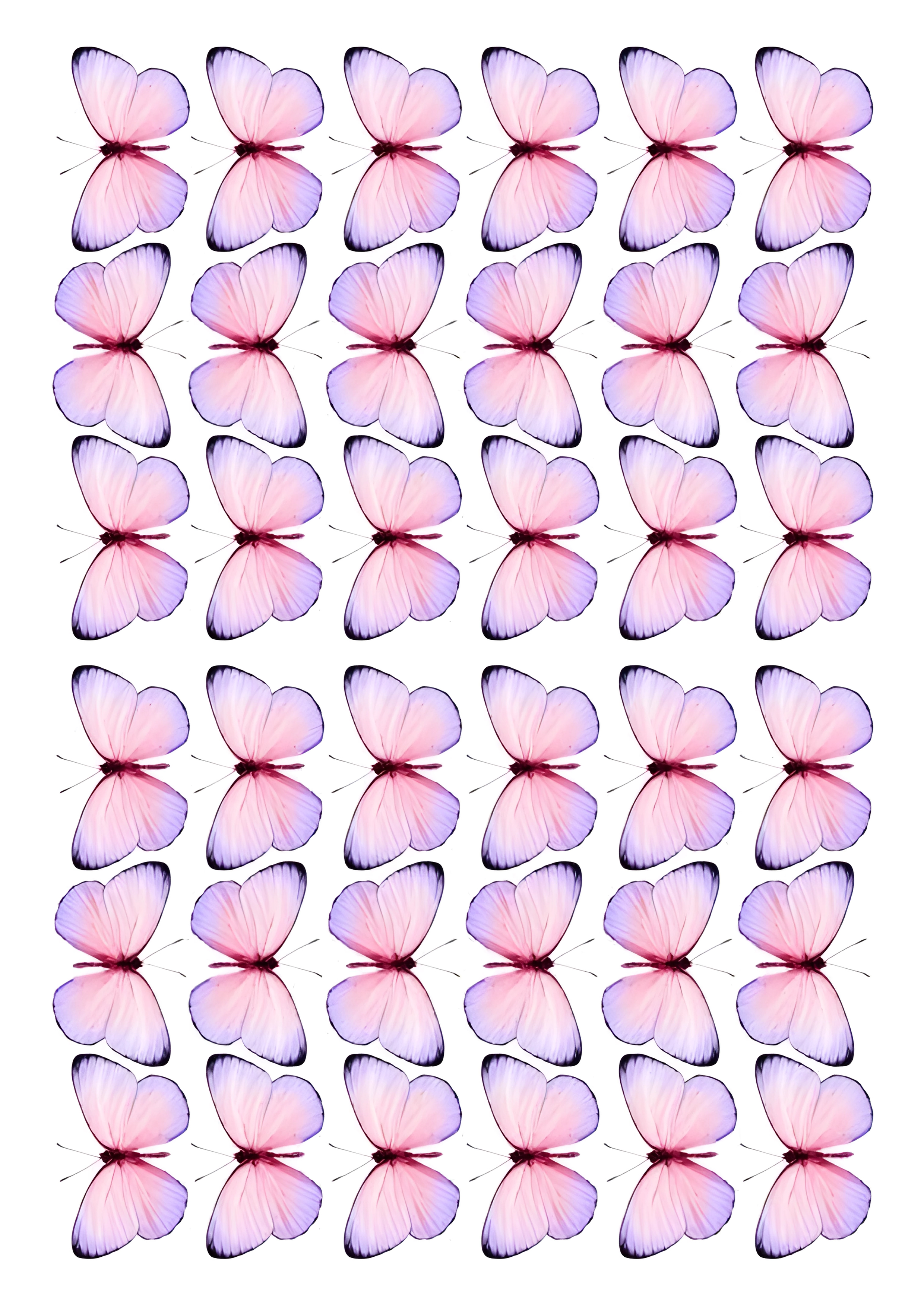 Butterfly cake topper