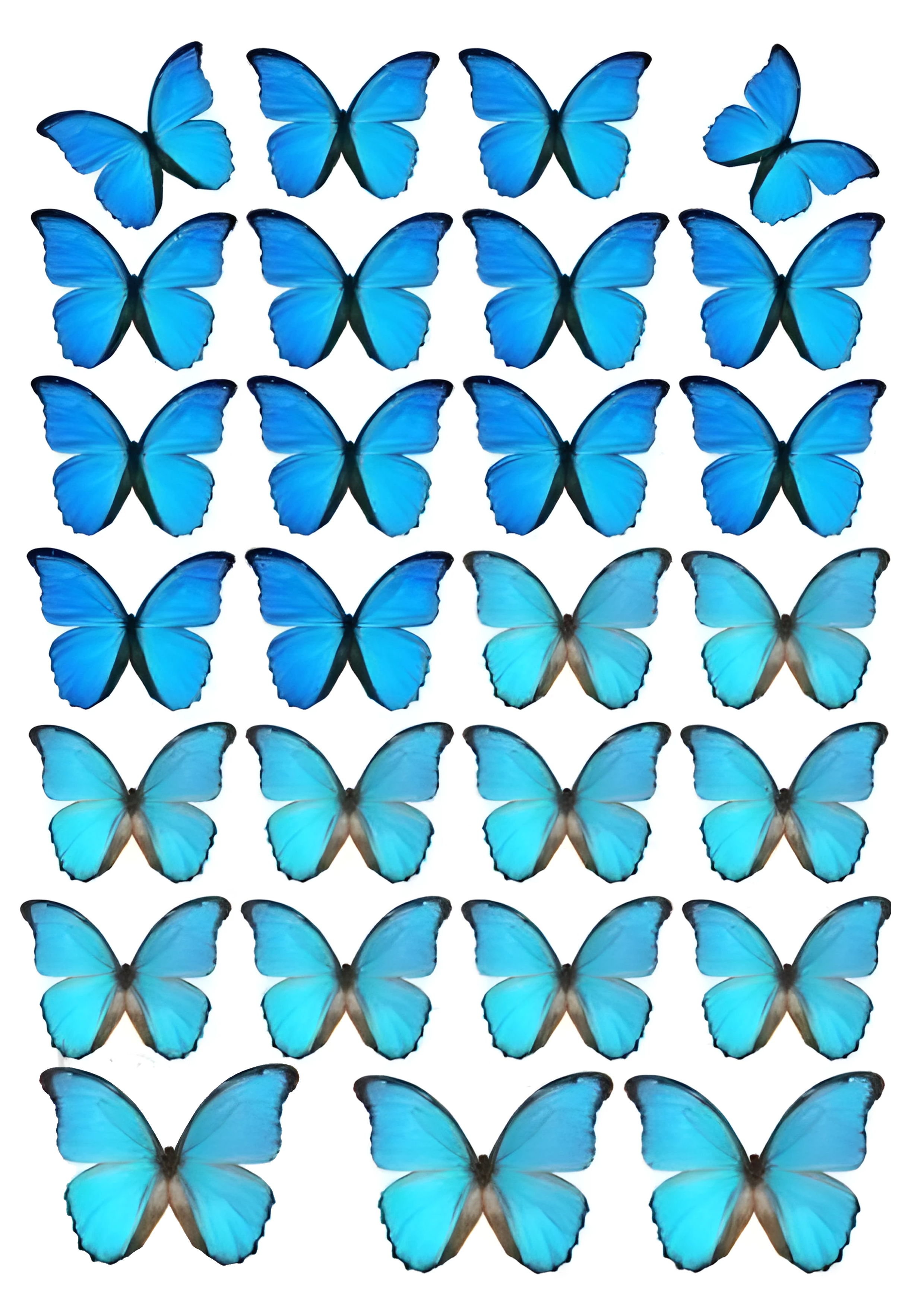 Butterfly cake topper