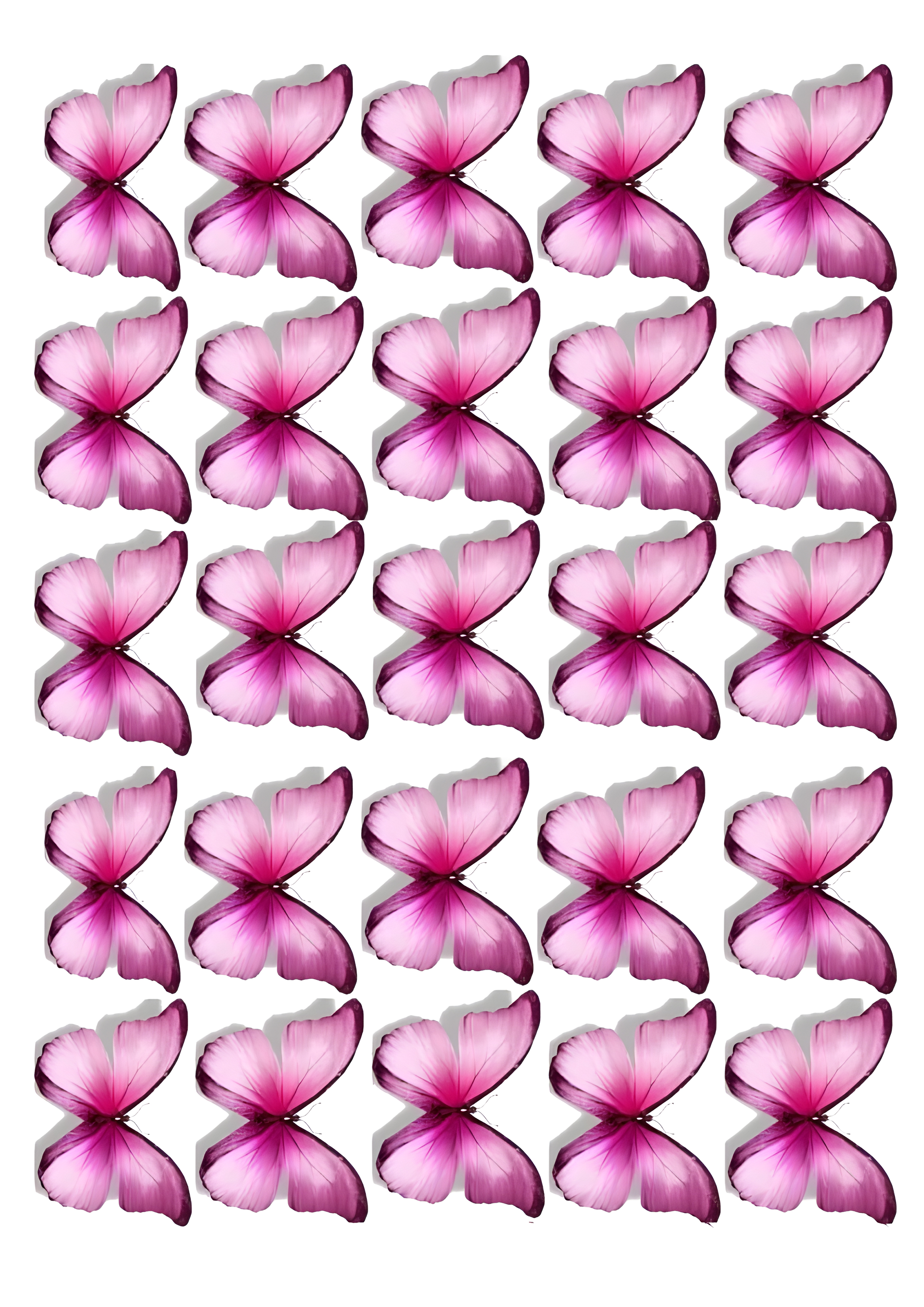 Butterfly cake topper