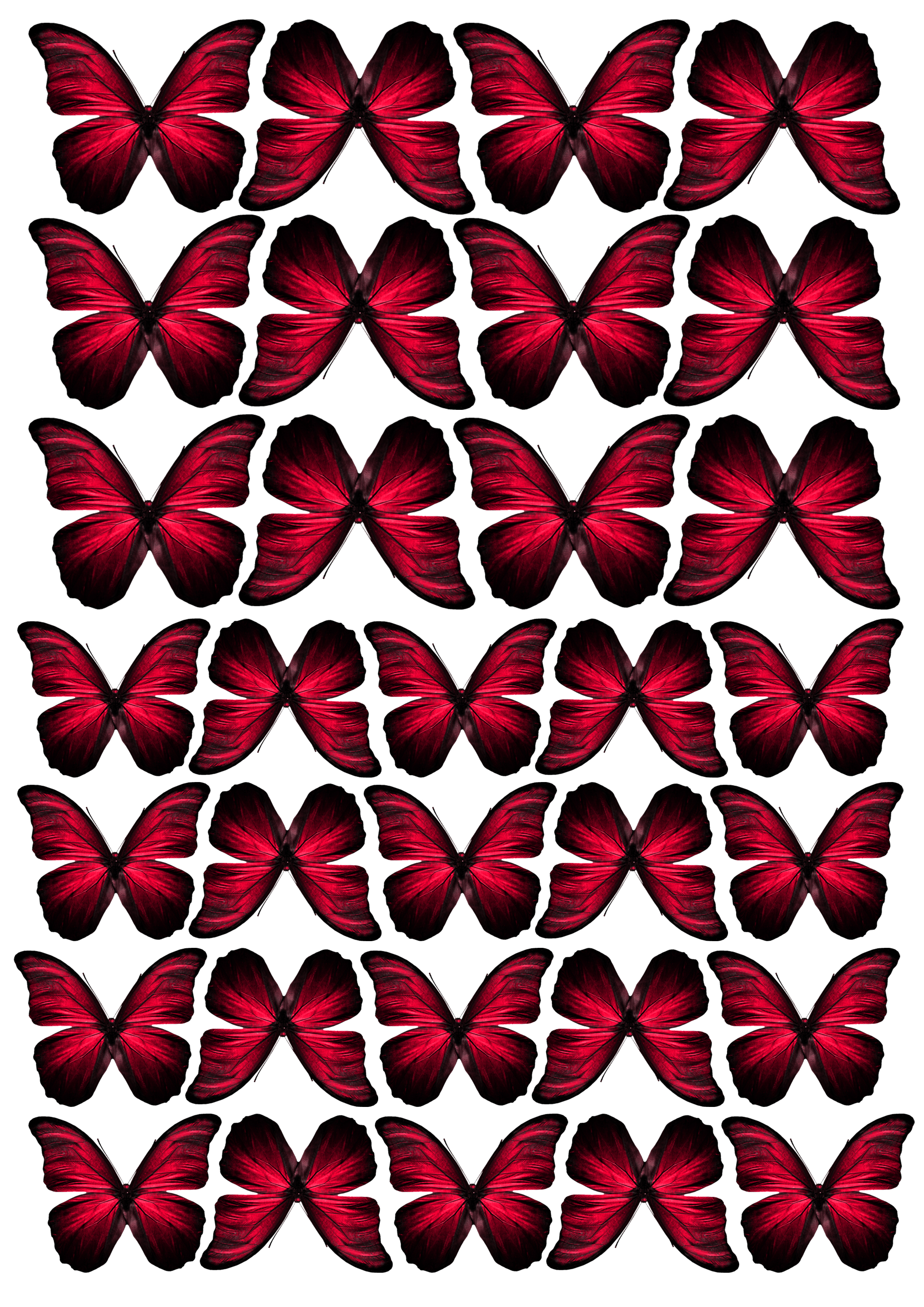 Butterfly cake topper