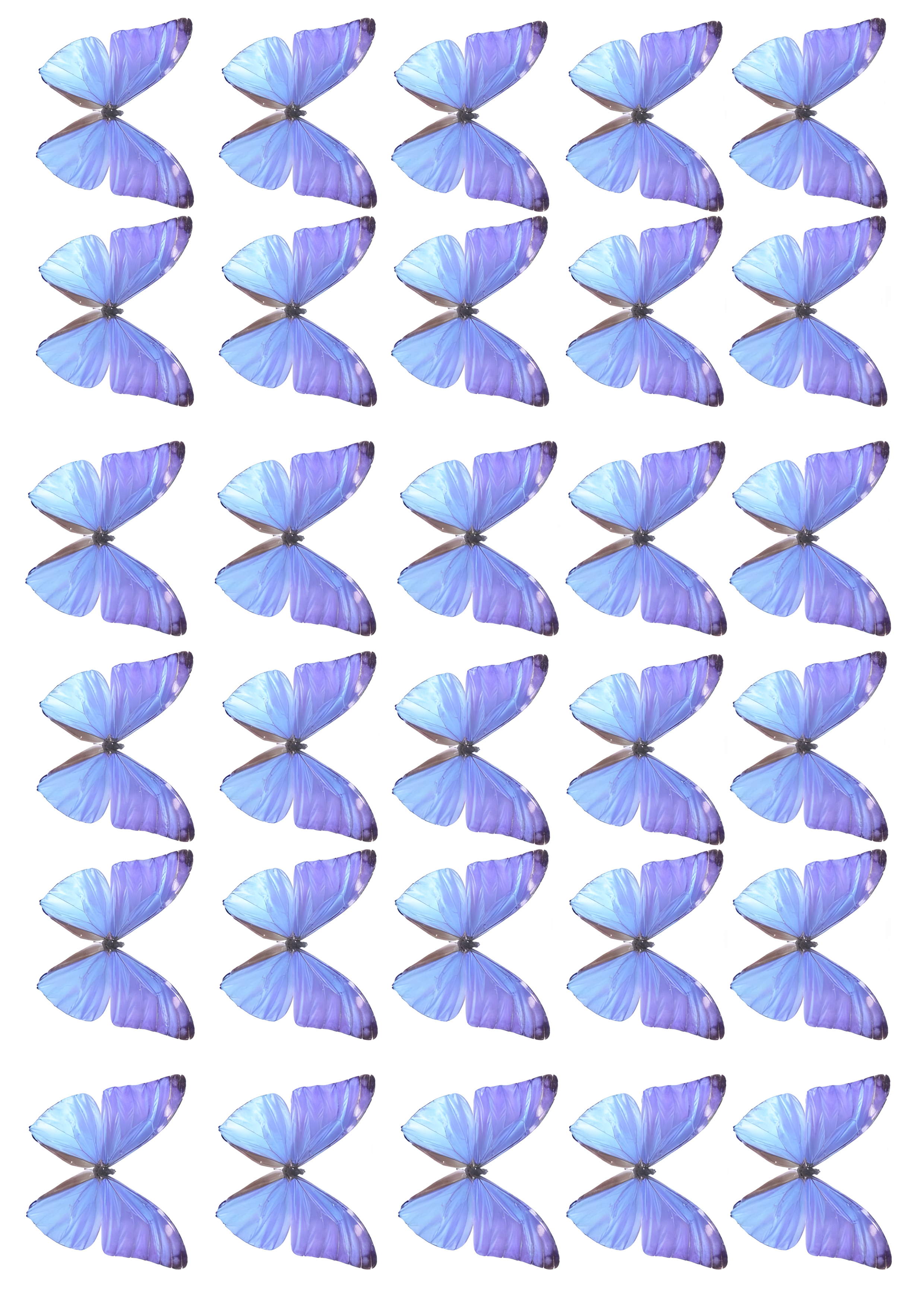 Butterfly cake topper