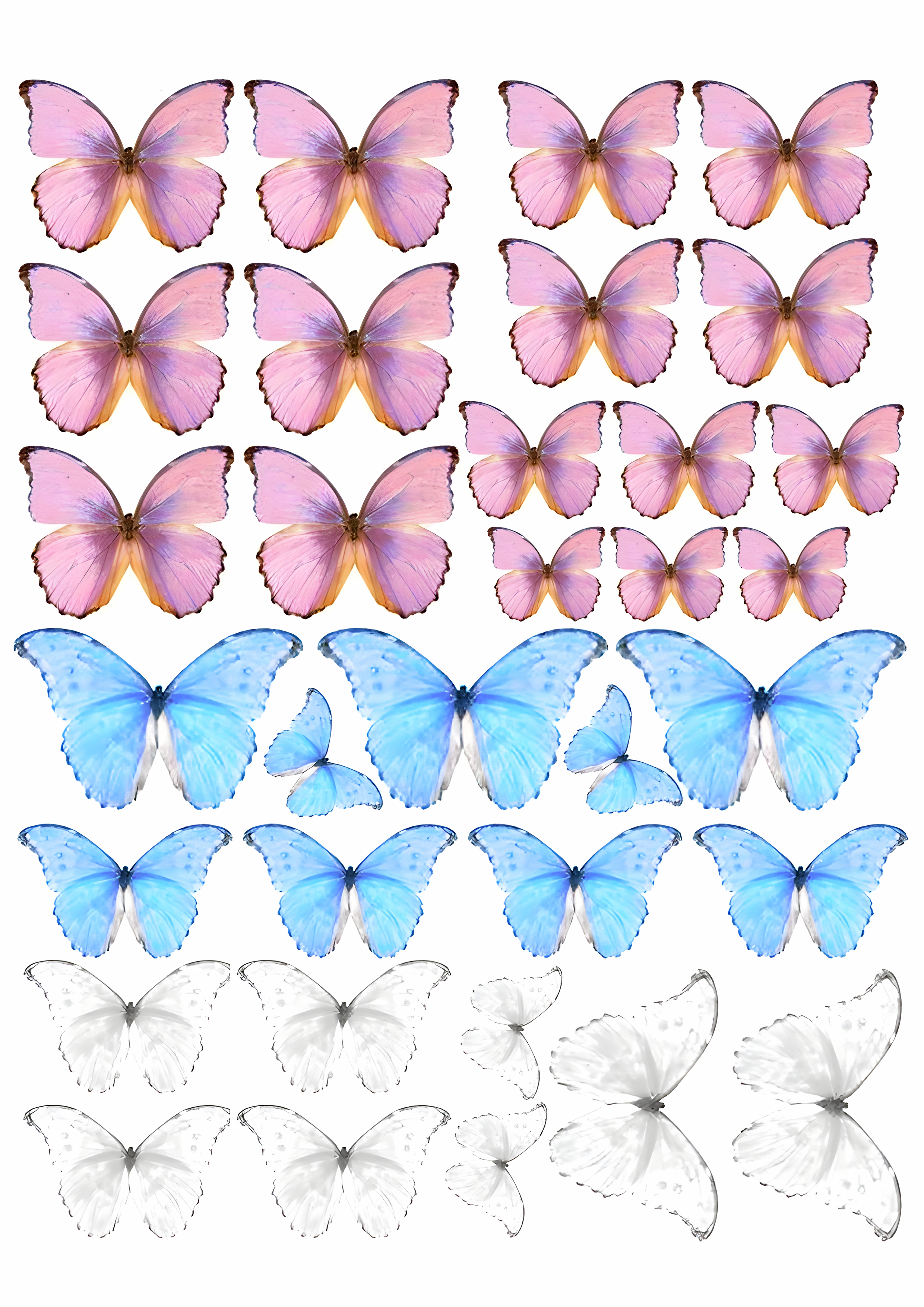 Butterfly cake topper