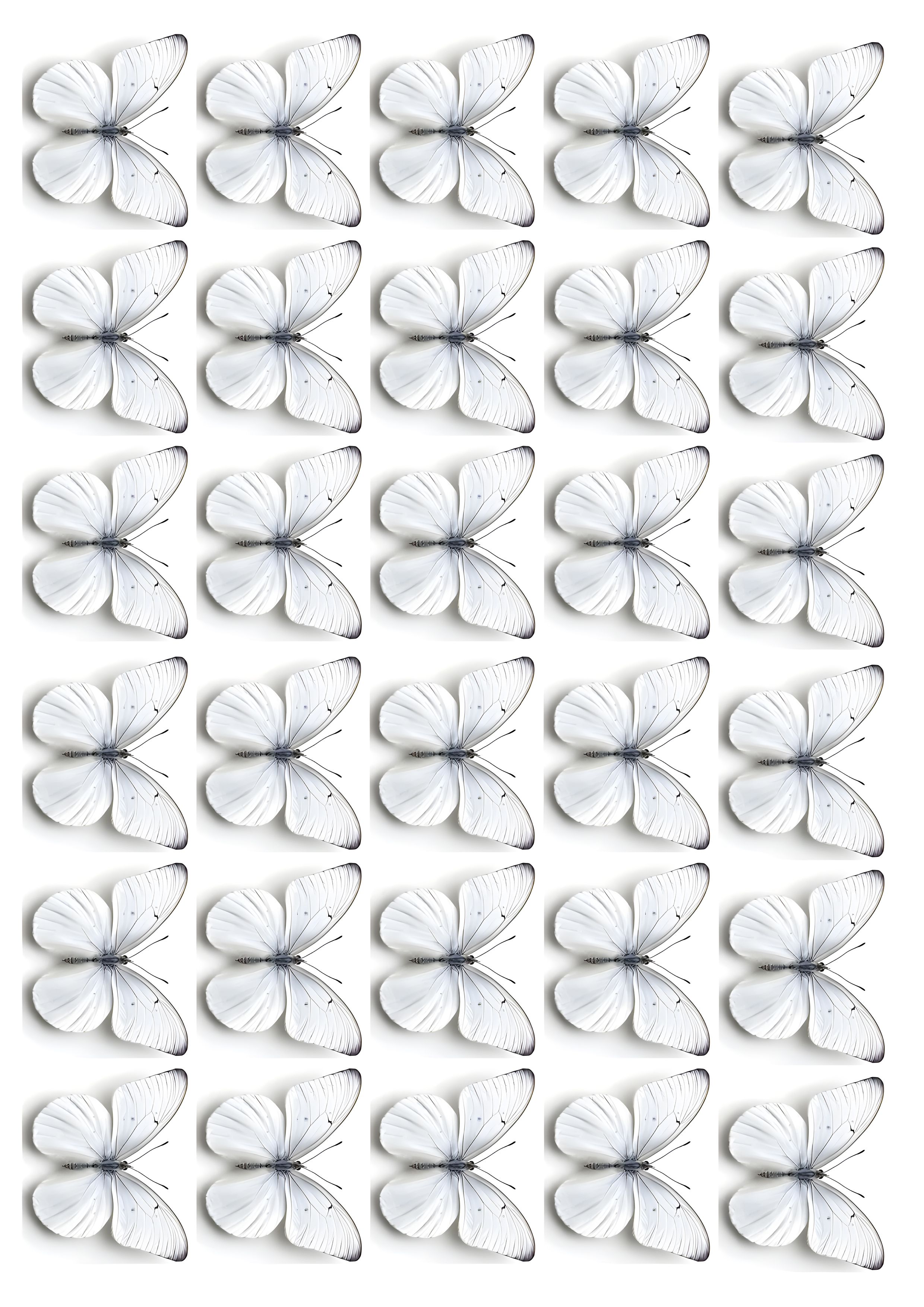 Butterfly cake topper