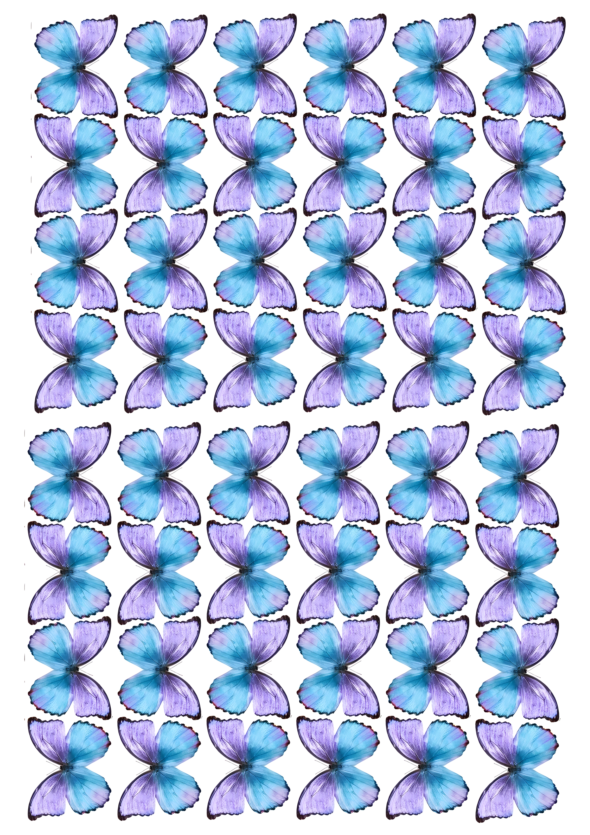 Butterfly cake topper