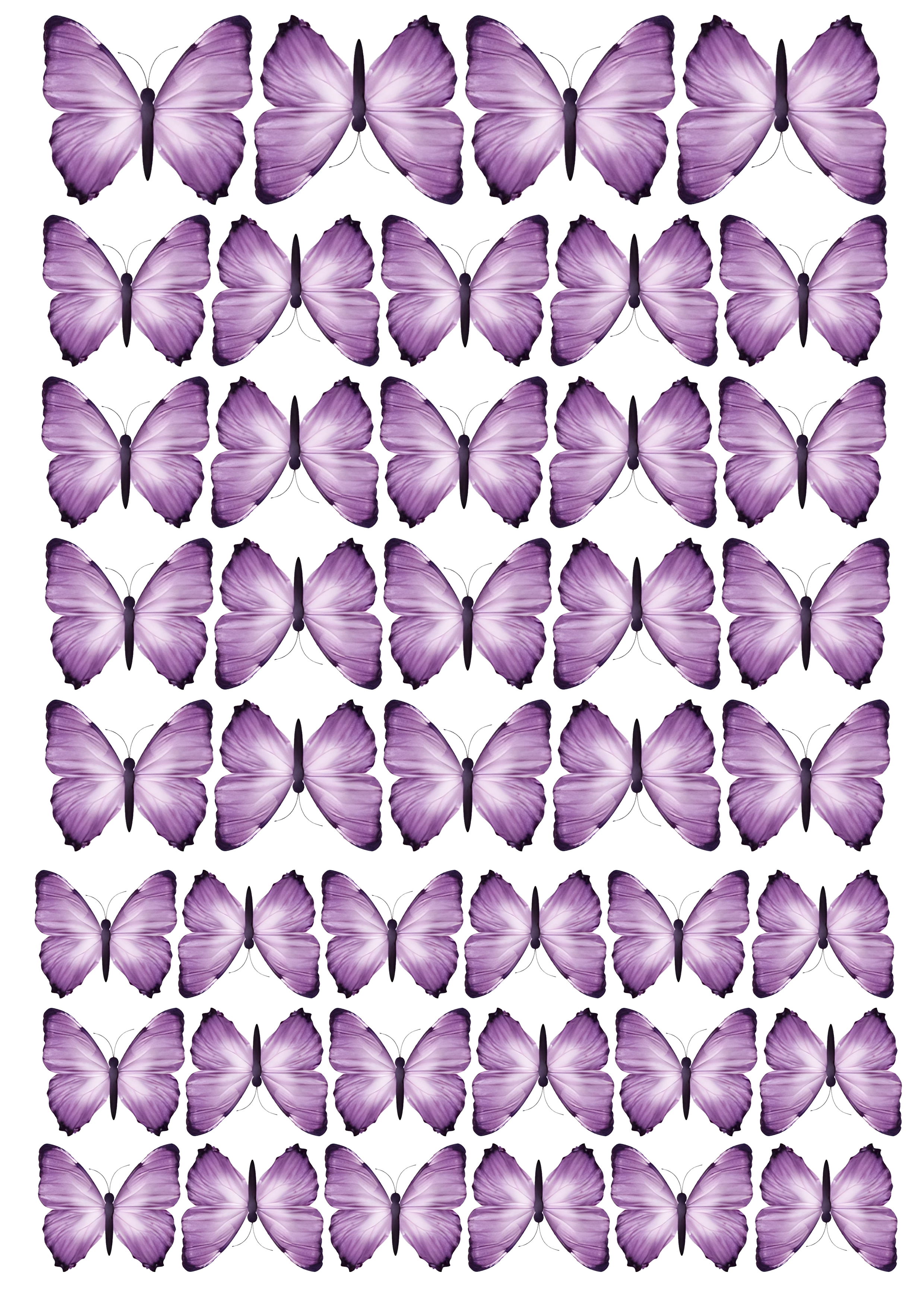 Butterfly cake topper