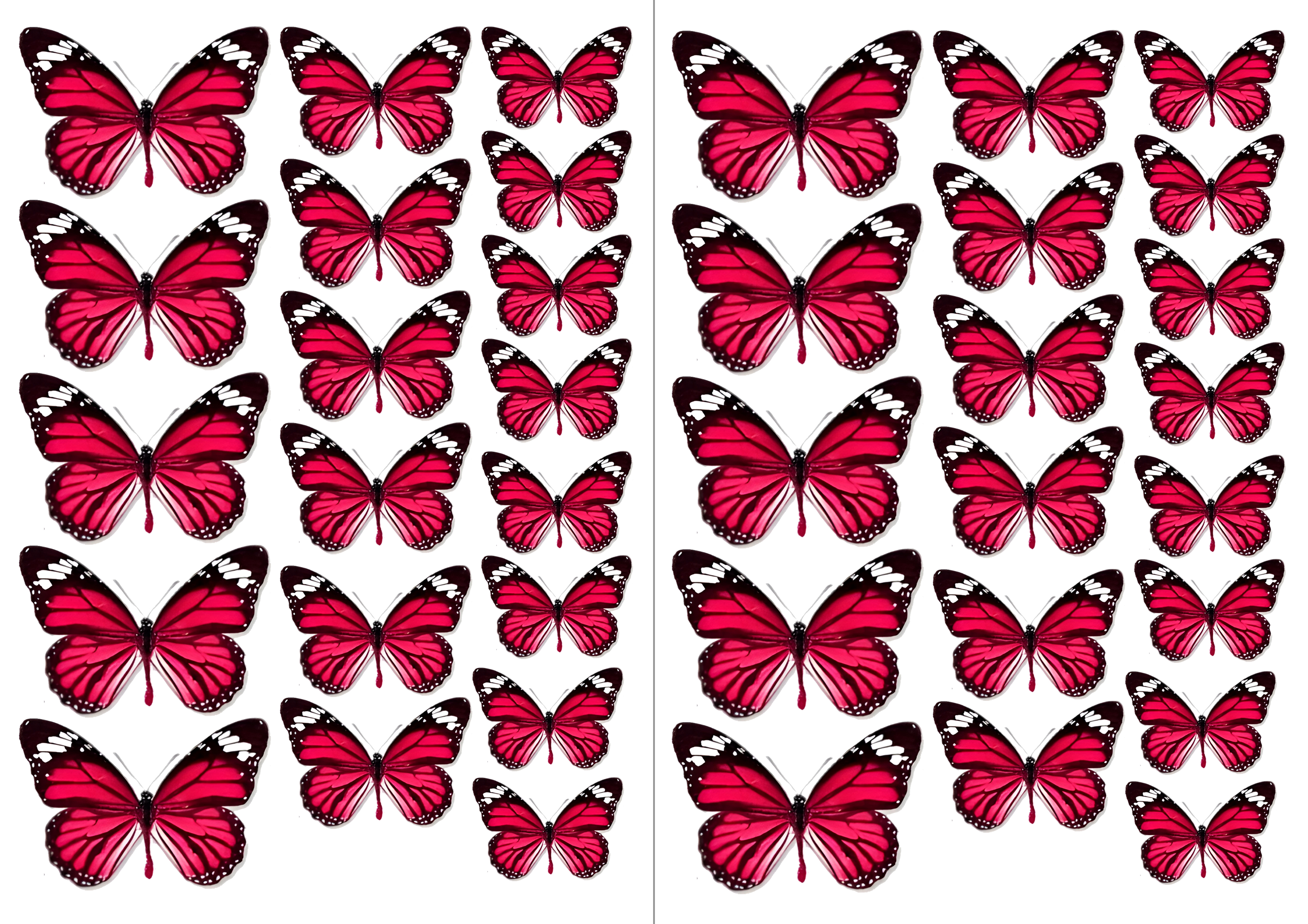 Butterfly cake topper