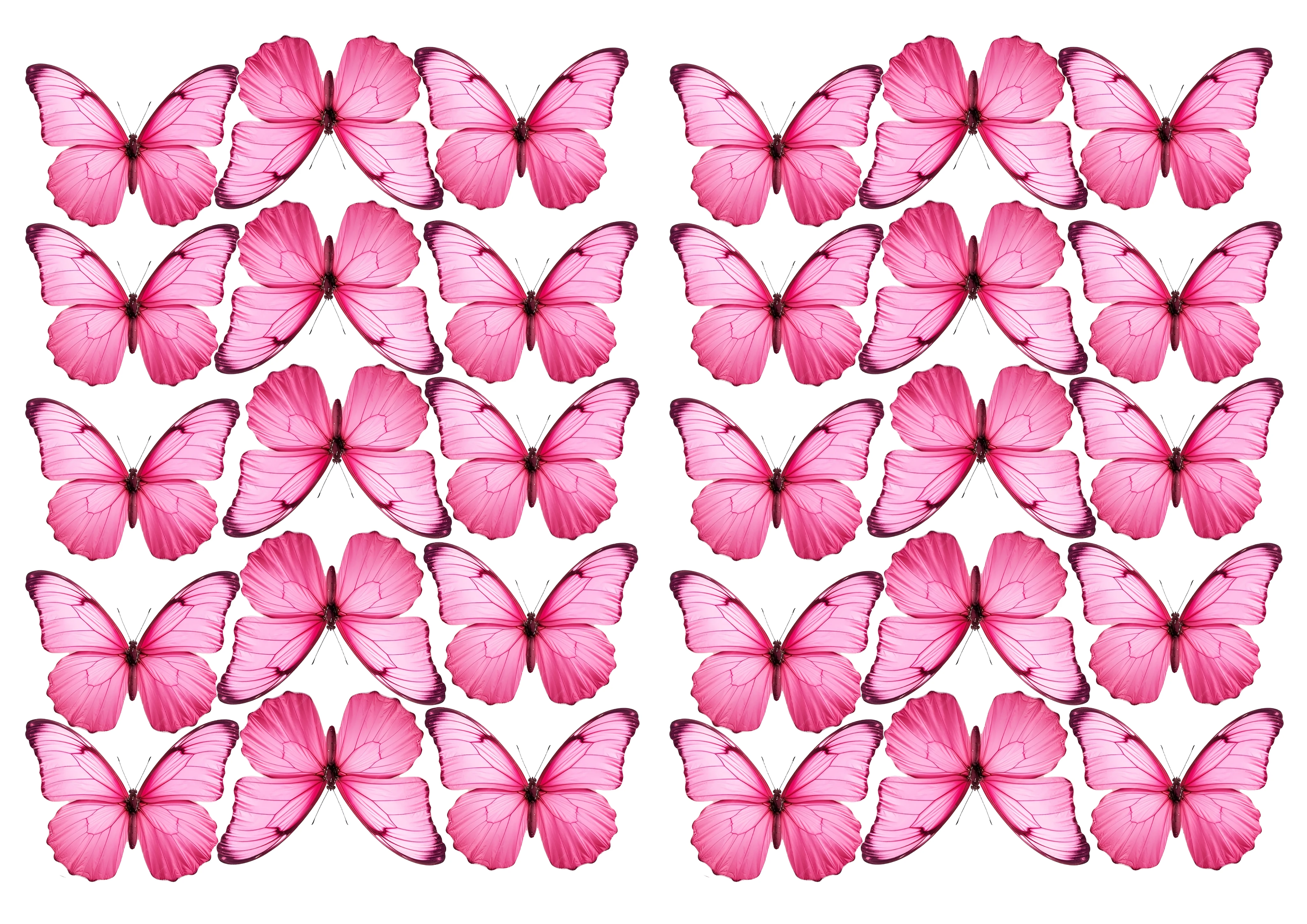 Butterfly cake topper