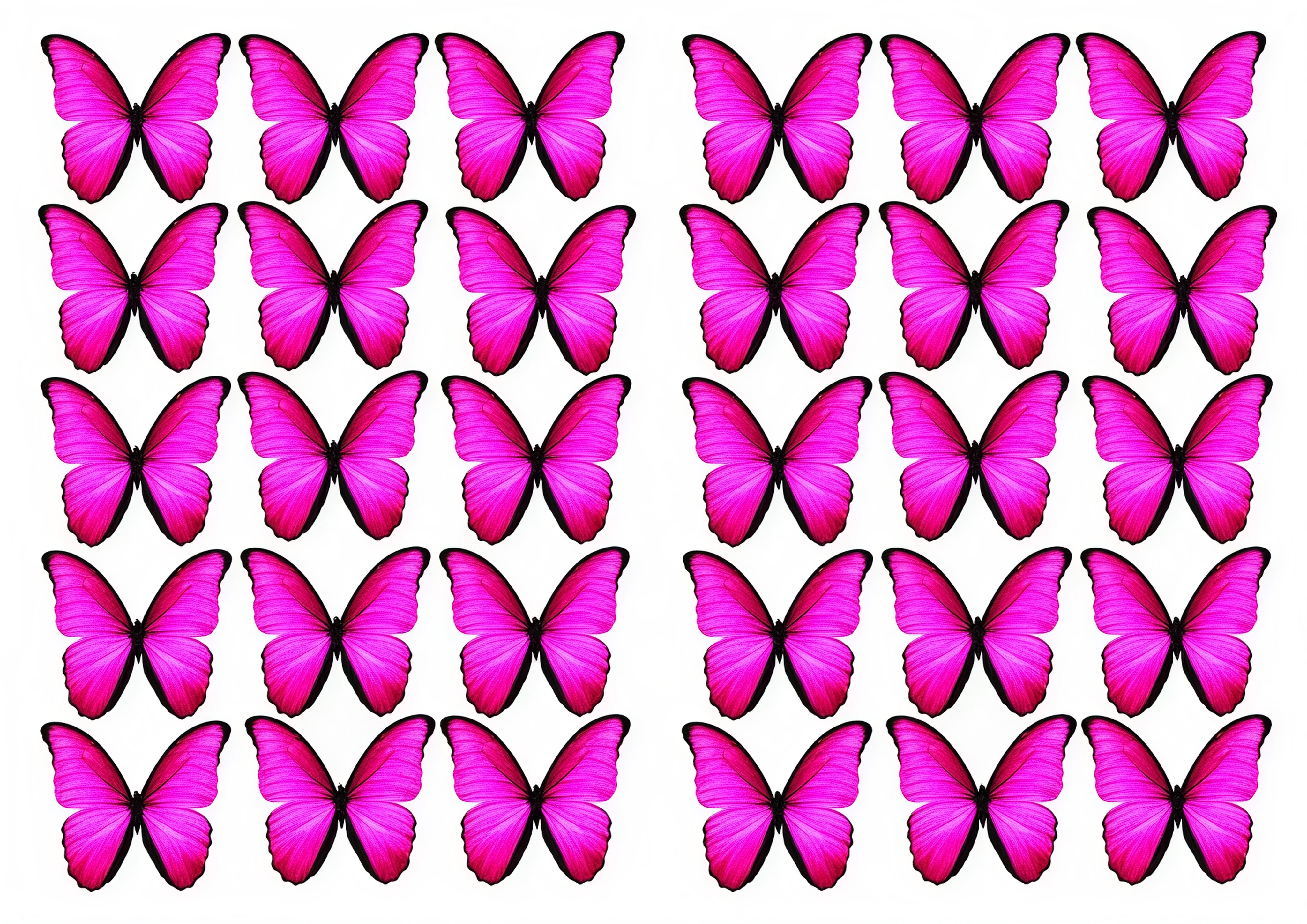 Butterfly cake topper