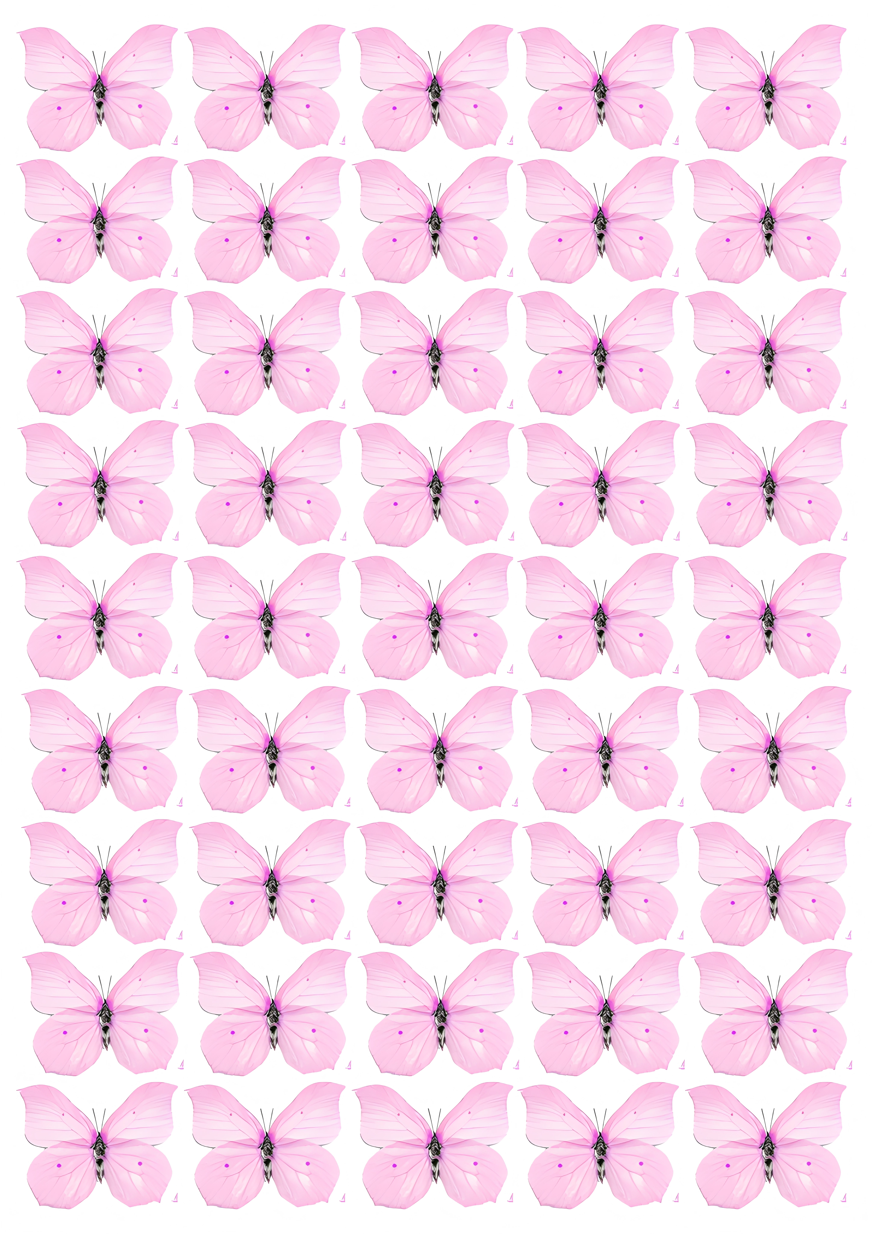 Butterfly cake topper