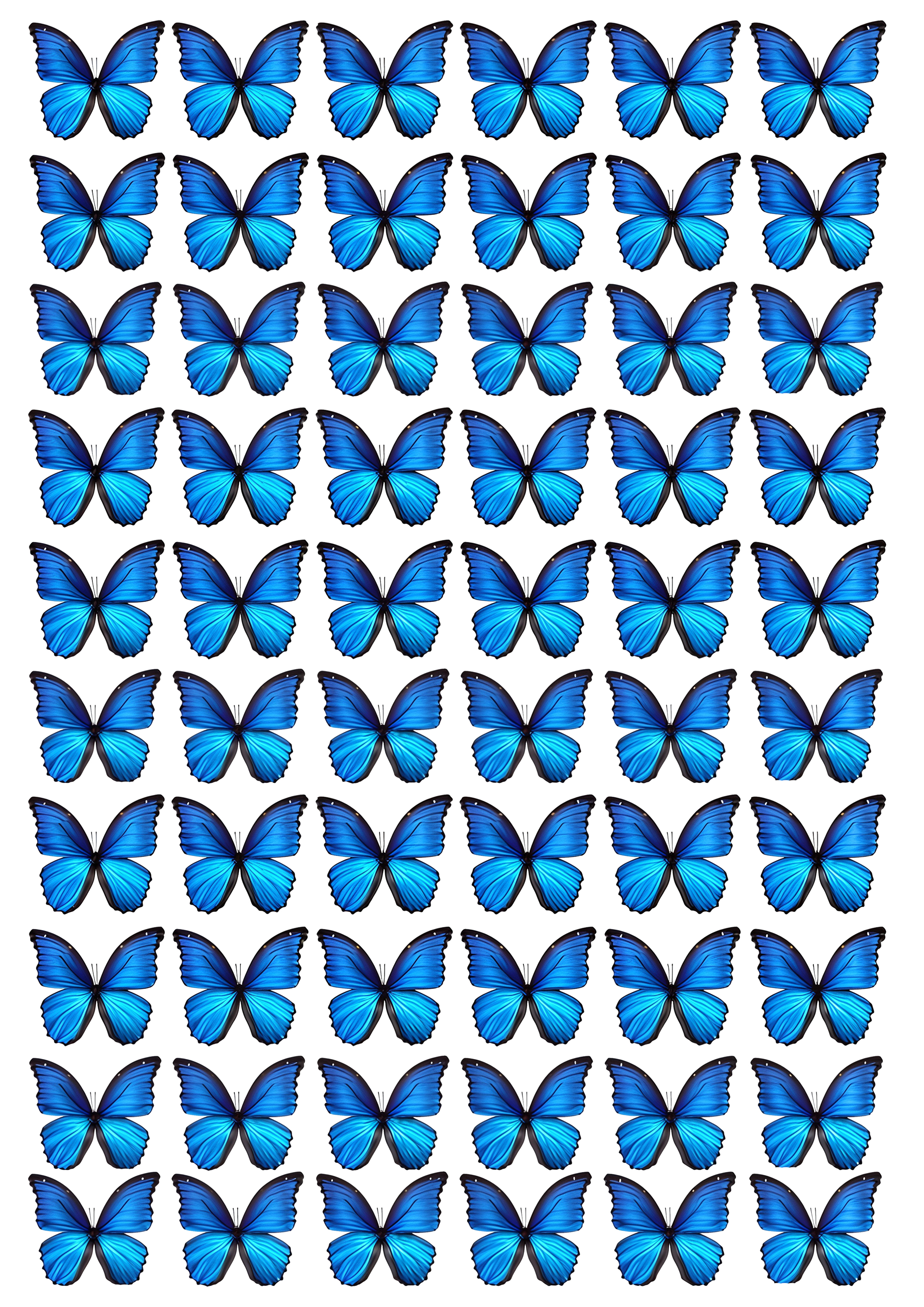 Butterfly cake topper