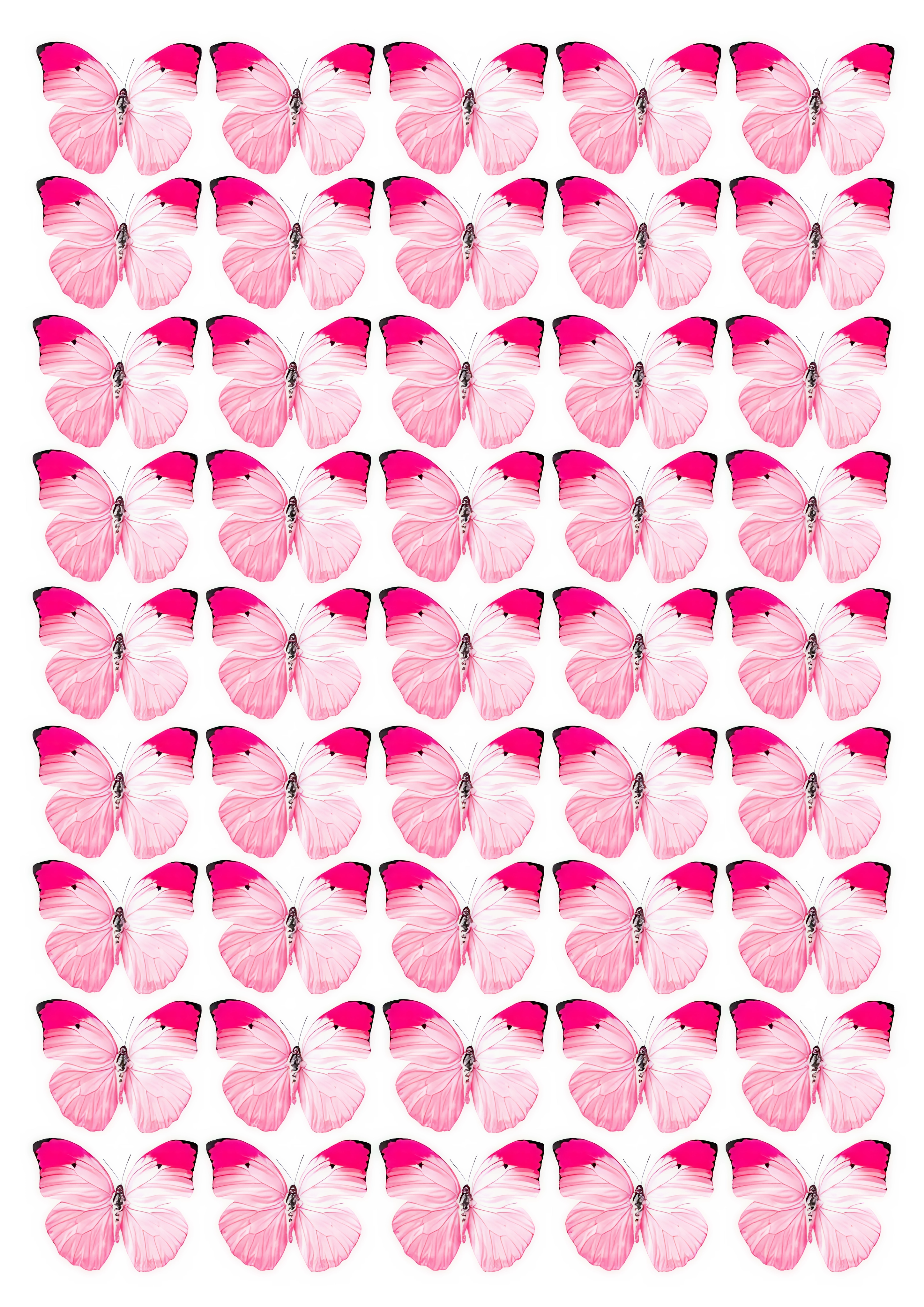 Butterfly cake topper